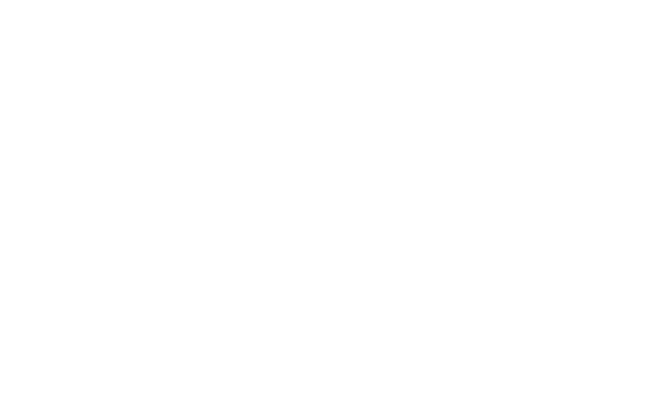 Точка роста