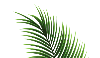 Точка роста