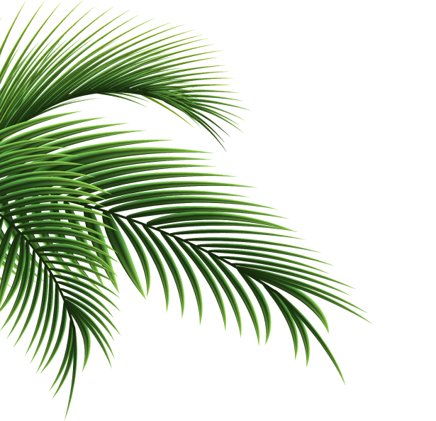 Точка роста