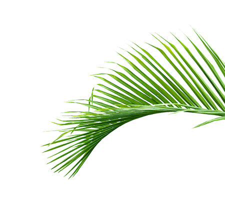 Точка роста