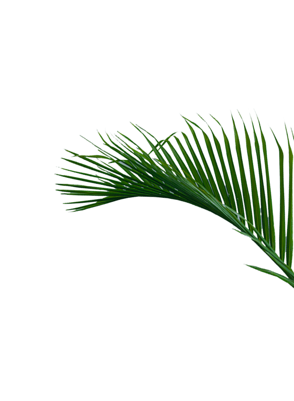 Точка роста